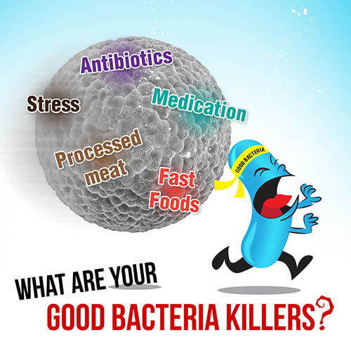What kills your good bacteria? What kills your good bacteria?
