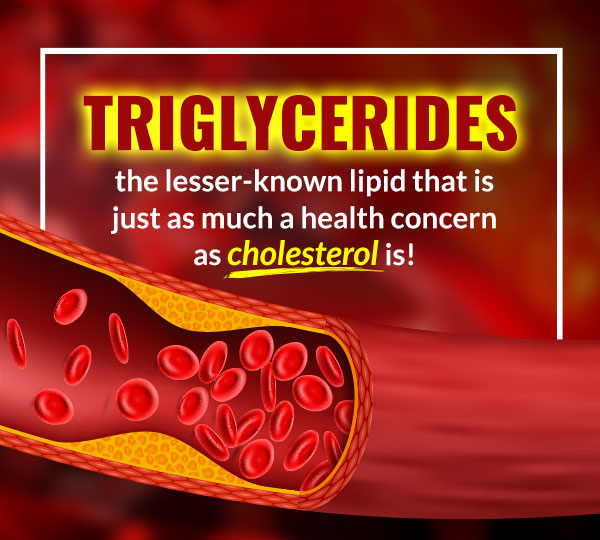 Triglycerides the lesser-known lipid that is just as much a health concern as cholesterol is! Triglycerides the lesser-known lipid that is just as much a health concern as cholesterol is!