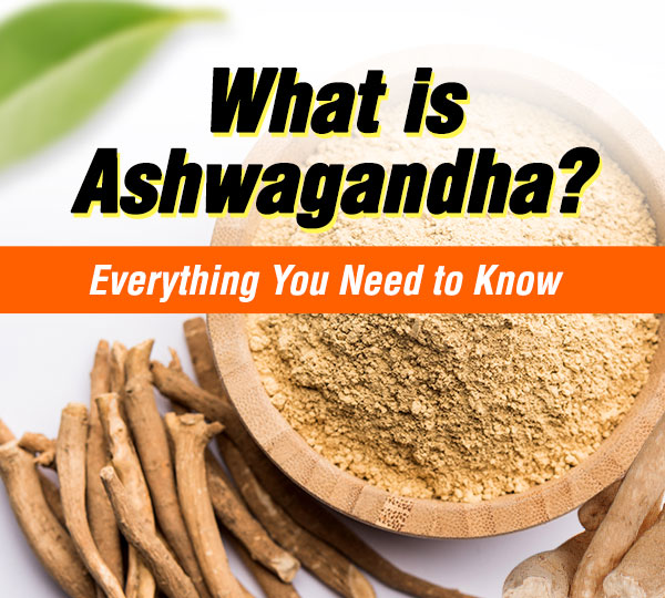 What is Ashwagandha? Everything You Need to Know What is Ashwagandha? Everything You Need to Know