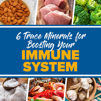 6 Trace Minerals for Boosting Your Immune System