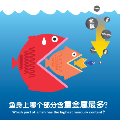 Which part of a fish contains most heavy metals?