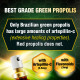 Brazilian Green Propolis Spray