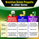 Brazilian Green Propolis Spray Brazilian Green Propolis Spray