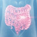 Intestinal Health