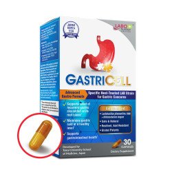 GASTRICELL (capsules) 