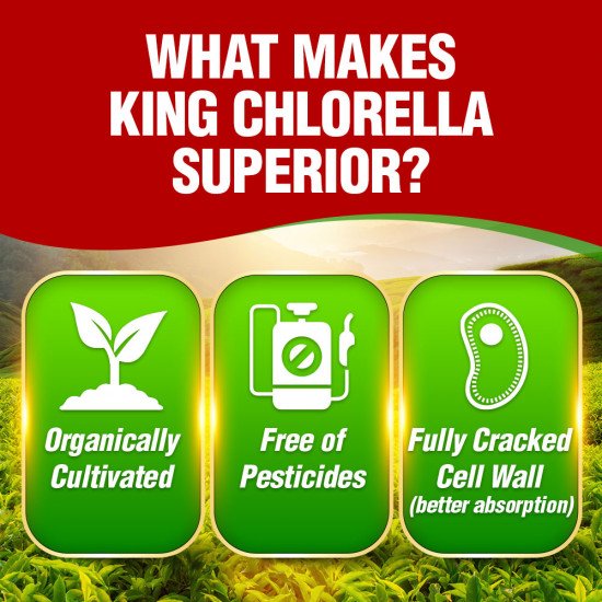 King Chlorella King Chlorella