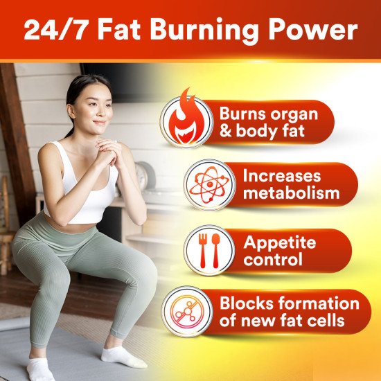 LipoDOWN2 LipoDOWN2