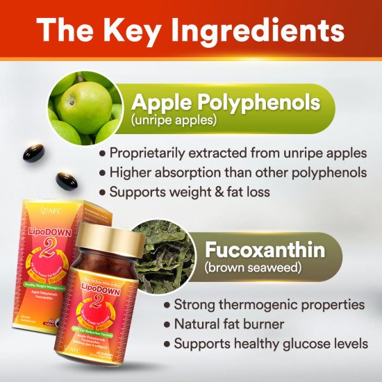 LipoDOWN2 LipoDOWN2