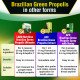 Brazilian Green Propolis Ultimate: Exp 09/2023