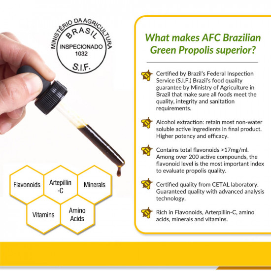 Brazilian Green Propolis Extract 