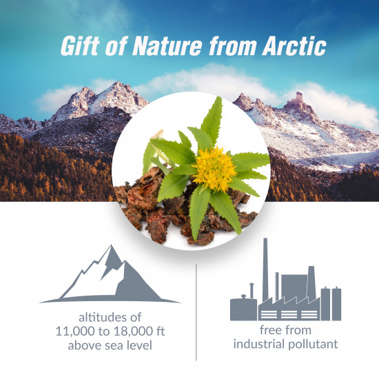 Rhodiola Energy Advance Rhodiola Energy Advance