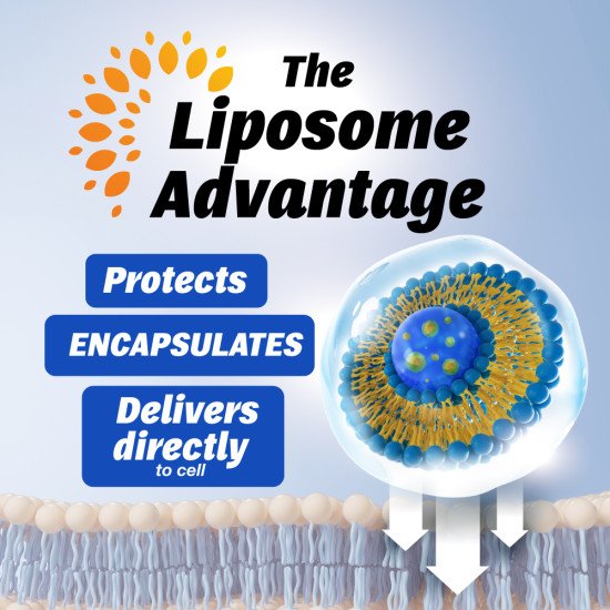 Liposomal Vitamin D3