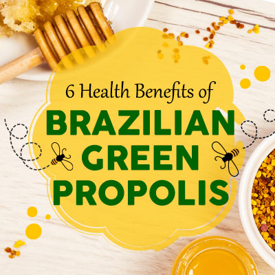 6 Health Benefits of Brazilian Green Propolis 6 Health Benefits of Brazilian Green Propolis