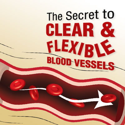 The Secret to Clear and Flexible Blood Vessels
