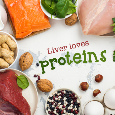 Liver loves proteins Liver loves proteins