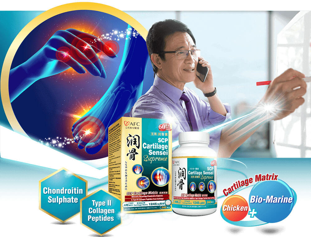 4-Cartilage Matrix Comprehensive, Multi-faceted Protection