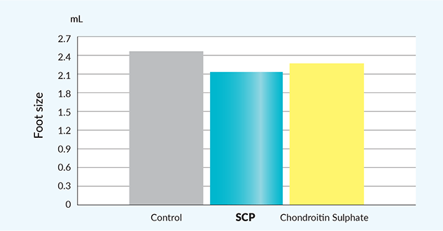 SCP suppresses swelling in foot