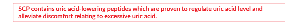 Contains uric acid-lowering peptides which are proven to regulate uric acid level and alleviate discomfort.