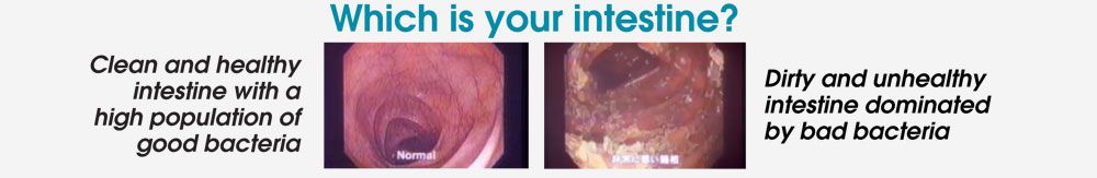 colon biogenics improve your good bacteria