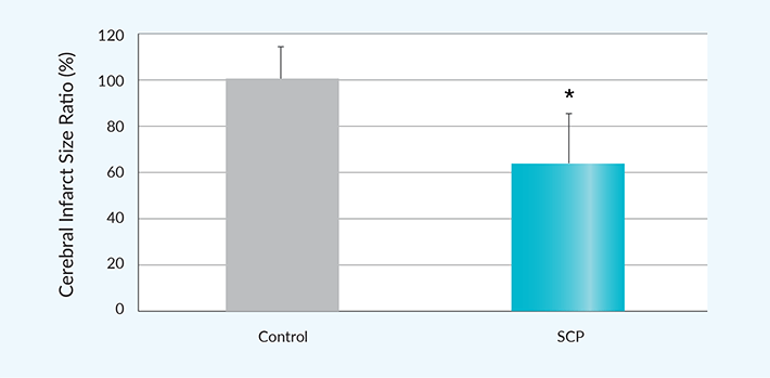 SCP significantly suppresses cerebrovascular disorder
