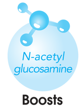 glucosamine_hyaluronic