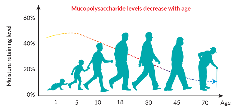 Mucopolysaccharide levels decrease with age