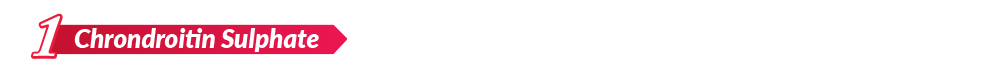 Chrondroitin Sulphate