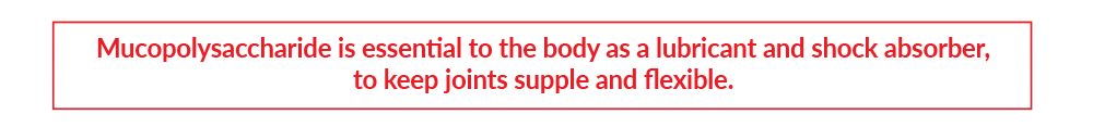 Mucopolysaccharide is essential to the body as a lubricant and shock absorber, to keep joints supple and flexible. 