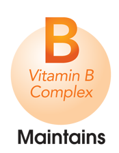 vitamin b maintains